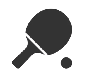 Ping Pong Paddle